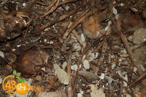 mdafenkazakhana512 (15).jpg.jpg.jpg